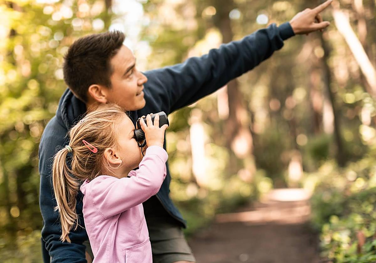 Observación de aves: guía para familias principiantes y curiosas