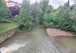 Imagen del río Ibaizabal entre Durango e Iurreta, en el puentes que separa ambos municipios.