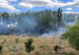 El incendio se ha producido junto a la zona de las huertas.