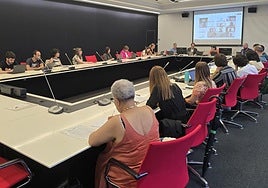 Presentación del borrador ante los consejos de Familia y de Infancia y Adolescencia.