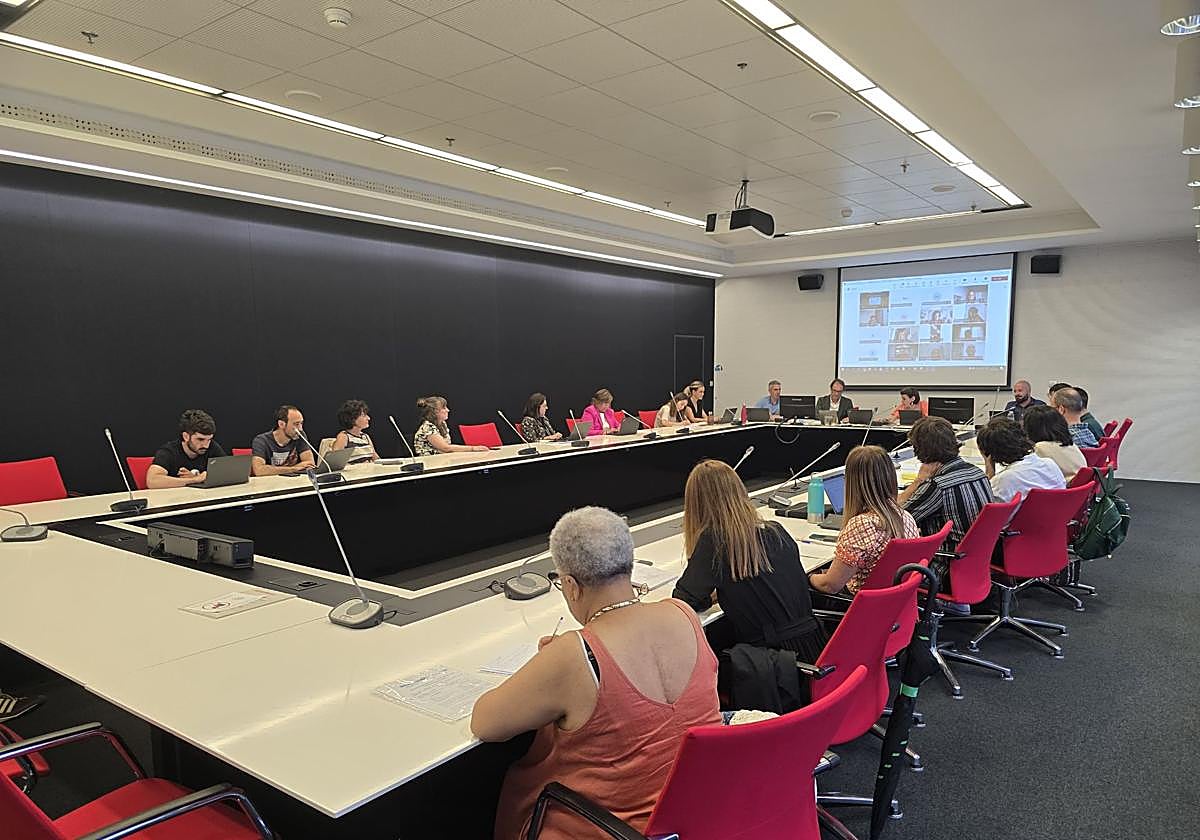 Presentación del borrador ante los consejos de Familia y de Infancia y Adolescencia.