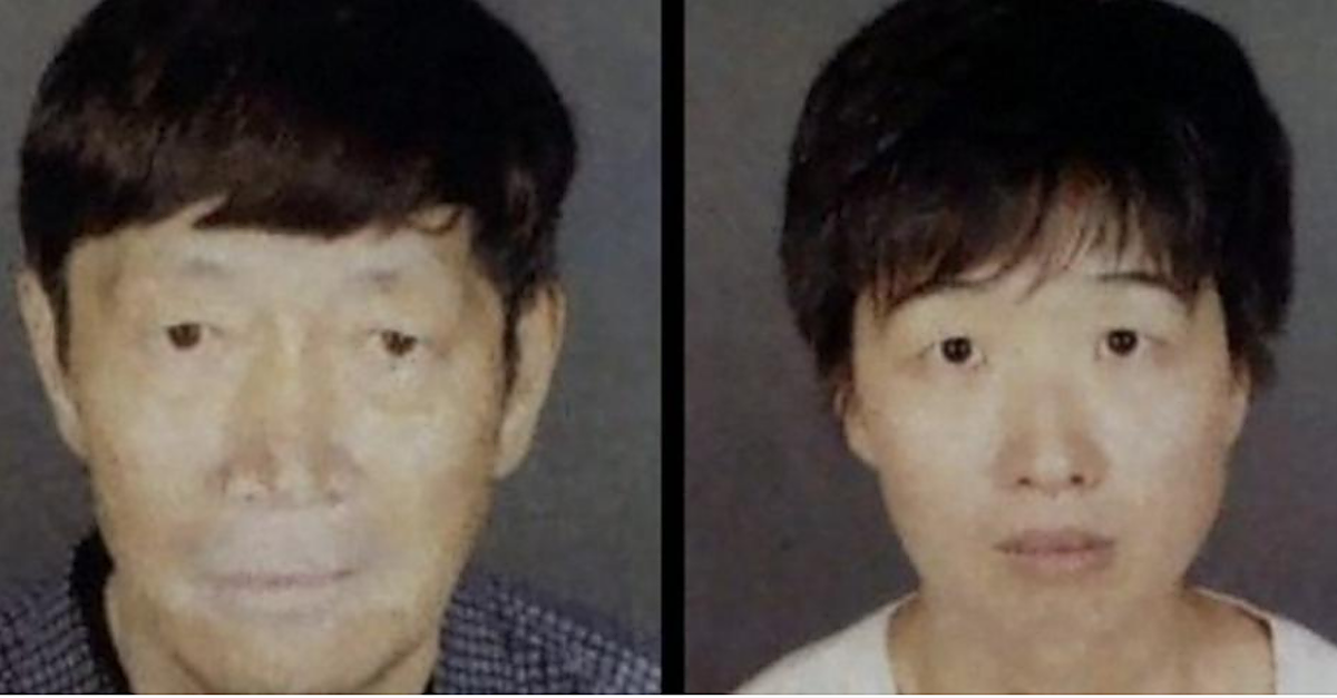 Investigan a una pareja que quería ser «una familia numerosa» y ahora tiene 19 hijos por vientres de alquiler