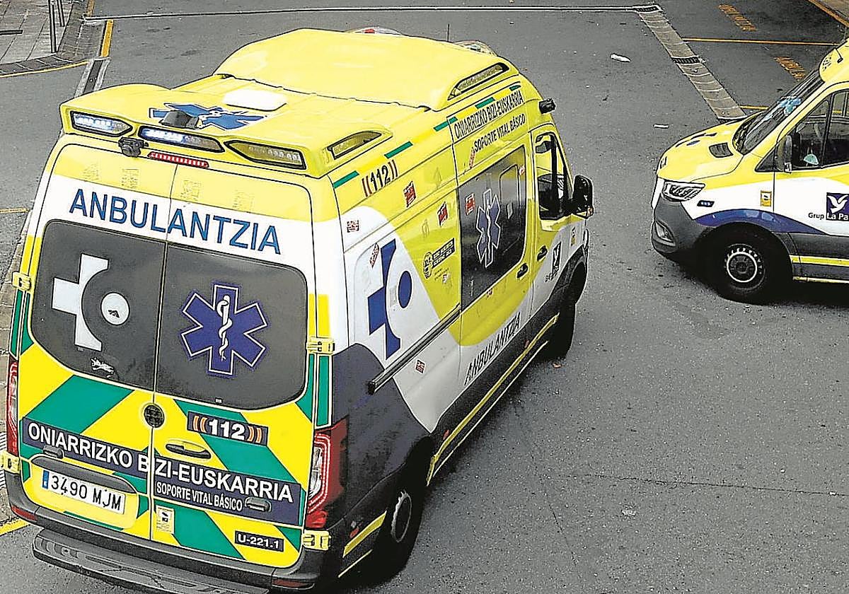 Muere un transportista tras ser golpeado por una máquina en una empresa de Muxika