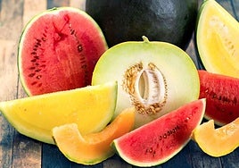 Expertos de la OCU analizan el aumento del precio del melón y la sandía este verano