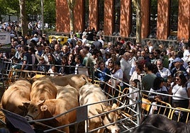 La feria agrícola homenajea hoy a los productores de cereal de Álava
