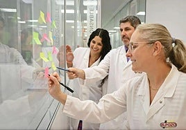 El Pozo Alimentación clausura con éxito sus Grupos de Mejora con más de 200 ideas innovadoras