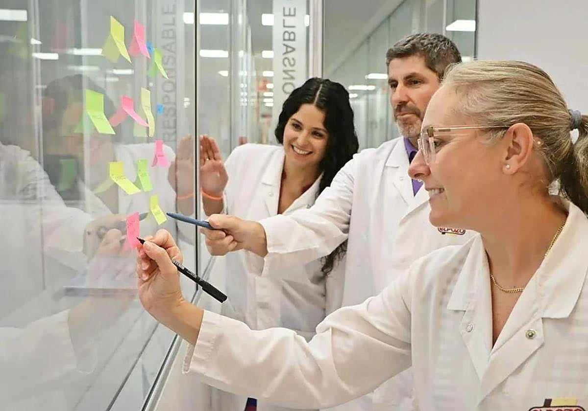 El Pozo Alimentación clausura con éxito sus Grupos de Mejora con más de 200 ideas innovadoras