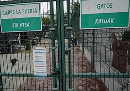 Acceso a uno de los departamentos de la perrera de Vitoria.