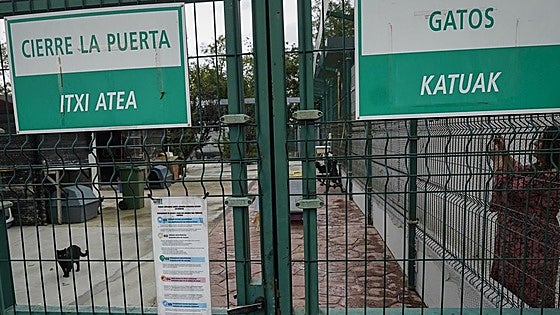 El número de denunciantes por acoso en el caso de la perrera municipal se eleva a ocho