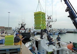 Varios operarios descargan de una embarcación cajas con anchoa en el Puerto de Santoña