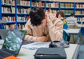 Esta ayuda está dirigida a jóvenes de entre 18 y 35 años.