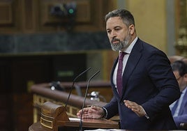 El líder de Vox, Santiago Abascal.