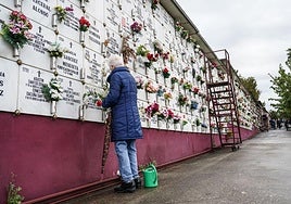 El cementerio de Bilbao se moderniza y reservará un espacio para mascotas