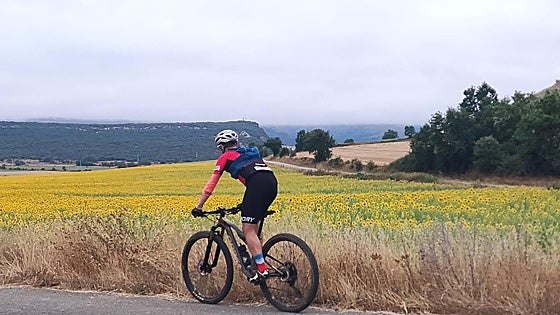 Un paseo entre floridos campos de girasol e iglesias del siglo XII