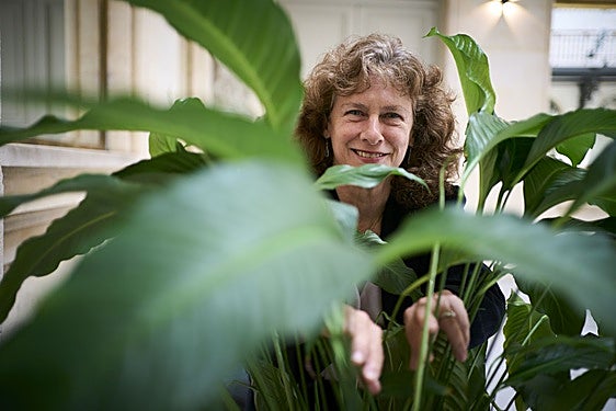 Camille Parmesan ha estudiado el efecto que el cambio climático tiene sobre la distribución geográfica de las especies.