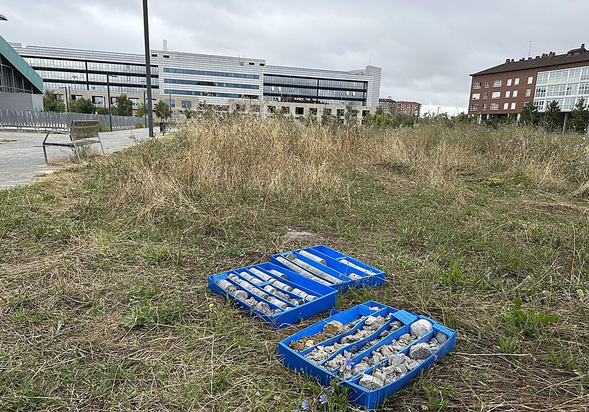 Cajas con las catas recogidas en la parcela de Lakua.