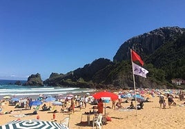 La bandera de medusas en la playa de Laga