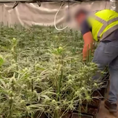 Detenido un vizcaíno tras desmantelar una plantación de marihuana en un chalé de lujo de Castro Urdiales