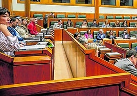 El Parlamento vasco está compuesto por 75 representantes, de los cuales 70 dicen contar con una carrera universitaria.