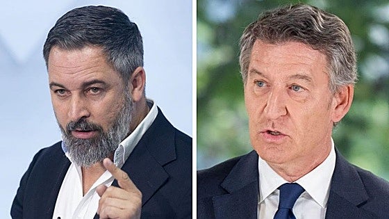 La inmigración como ariete