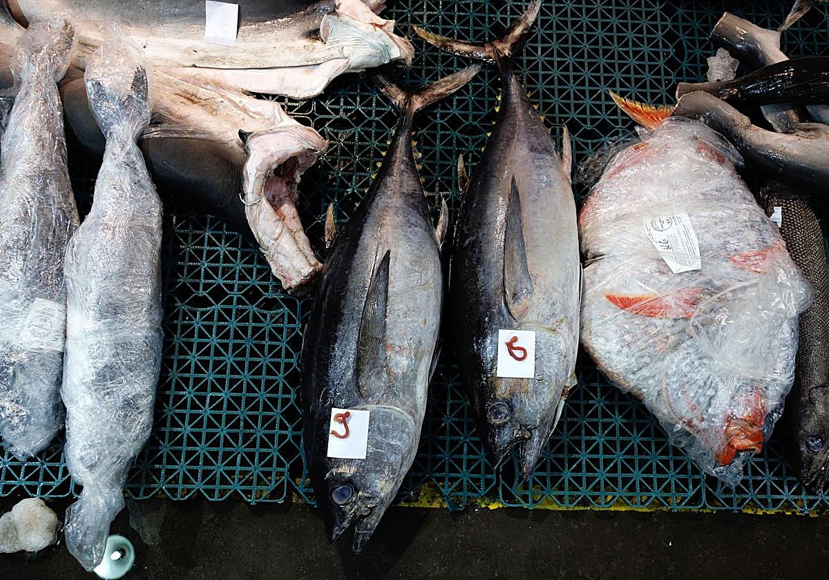 Alerta alimentaria «grave» por la presencia de partículas de vidrio en un conocido pescado procedente de España