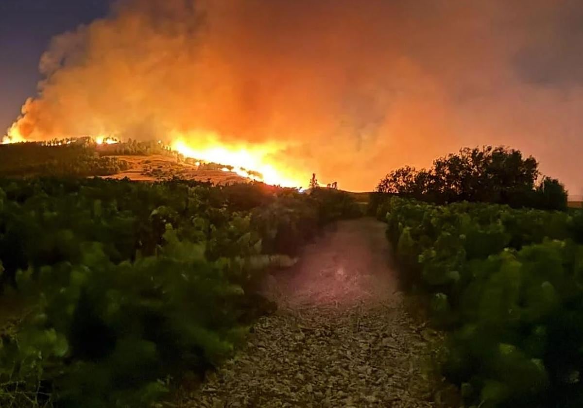 Zona de Treviana, en Obarenes.