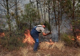 Jaime y Abel, los dos amigos que murieron luchando contra el fuego en León