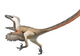 Aspecto que tendría un velociraptor mongoliensis