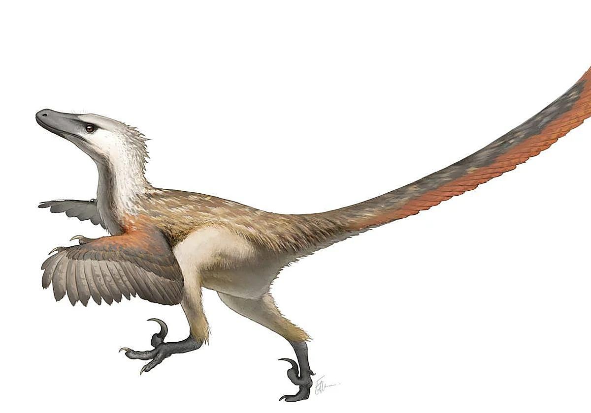 Aspecto que tendría un velociraptor mongoliensis