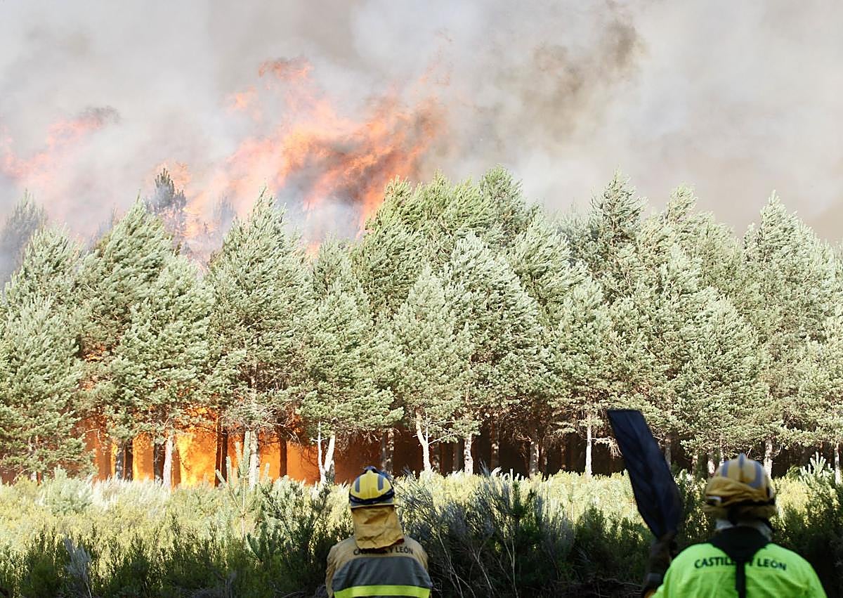 Imagen secundaria 1 - Ola de incendios: 16 de alto nivel siguen activos y cuatro miembros de la UME están hospitalizados