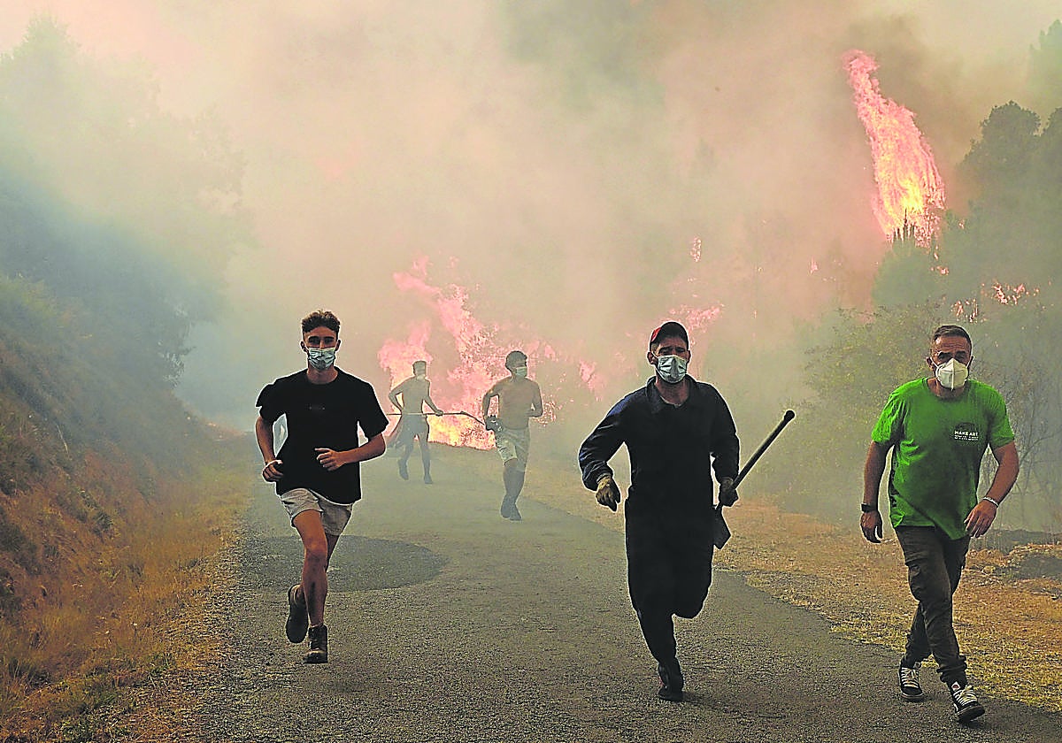 Fuego contra el negacionismo