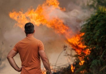 El fuego avanza: causas, cifras y lecciones de una crisis global