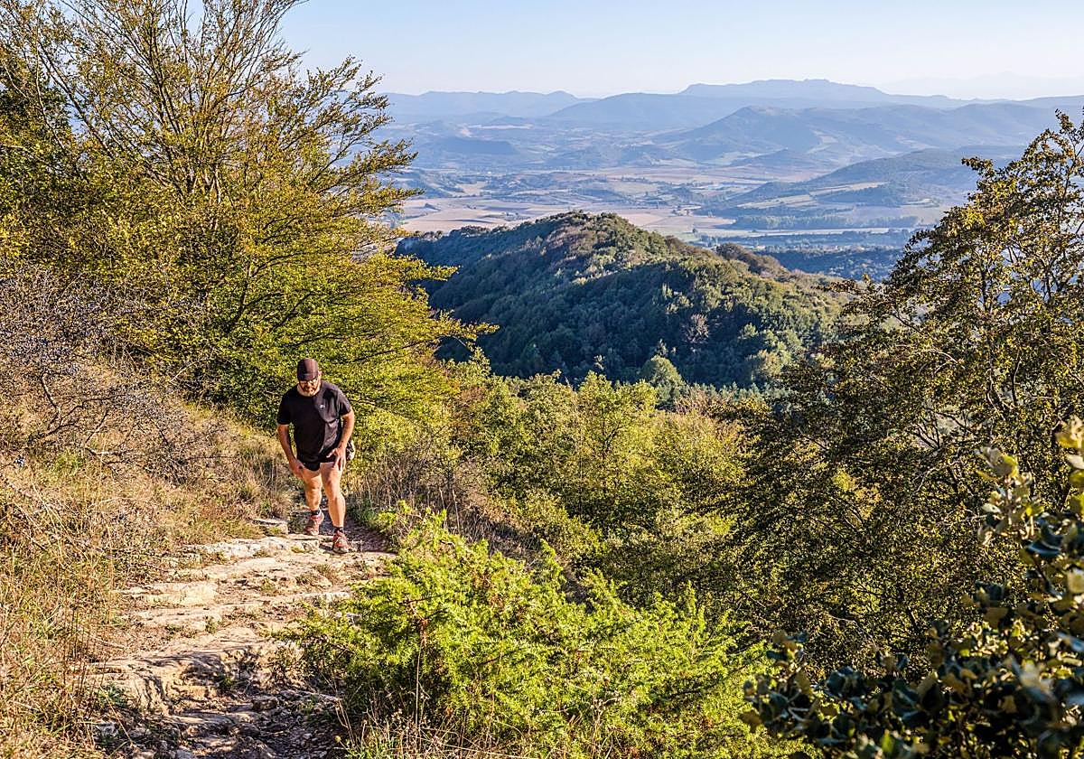 Álava es la provincia con más suelo forestal de Euskadi, con 188.840 hectáreas