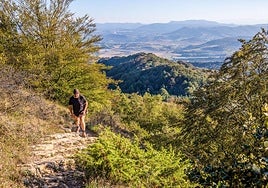 Álava es la provincia con más suelo forestal de Euskadi, con 188.840 hectáreas