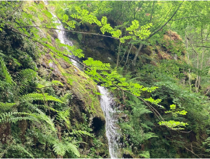 Imagen secundaria 1 - Imágenes de las cascadas e intinerario de la ruta.