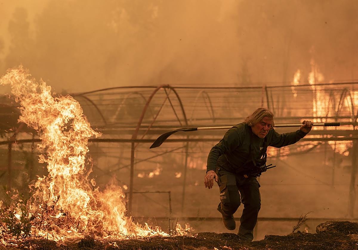 Un guarda forestal arriesga su propia vida mientras realiza labores de extinción en la localidad de Carballeda de Avia, en Ourense.