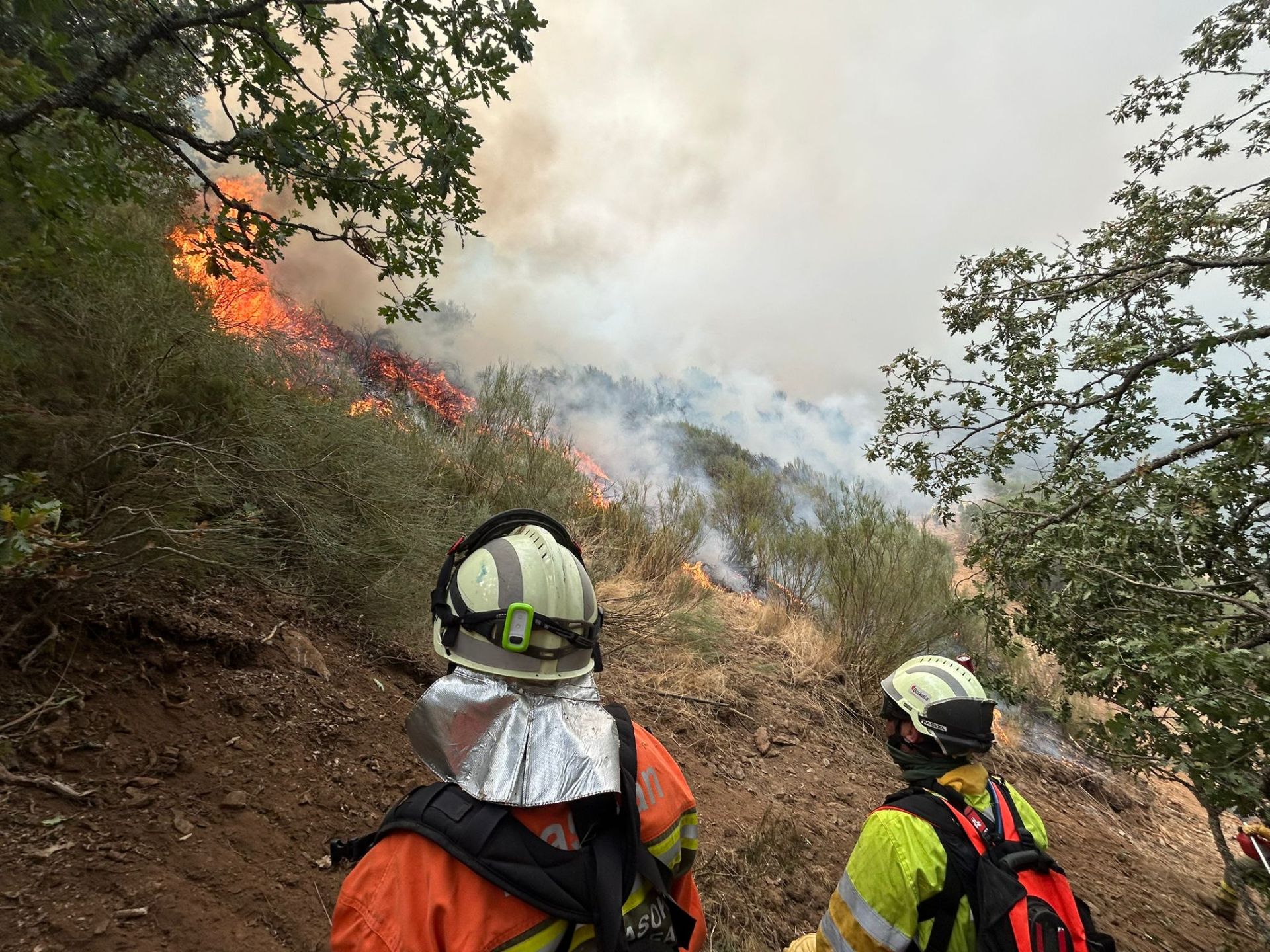 Ayuda de los equipos de bomberos y otros profesionales de Bizkaia en los incendios de León