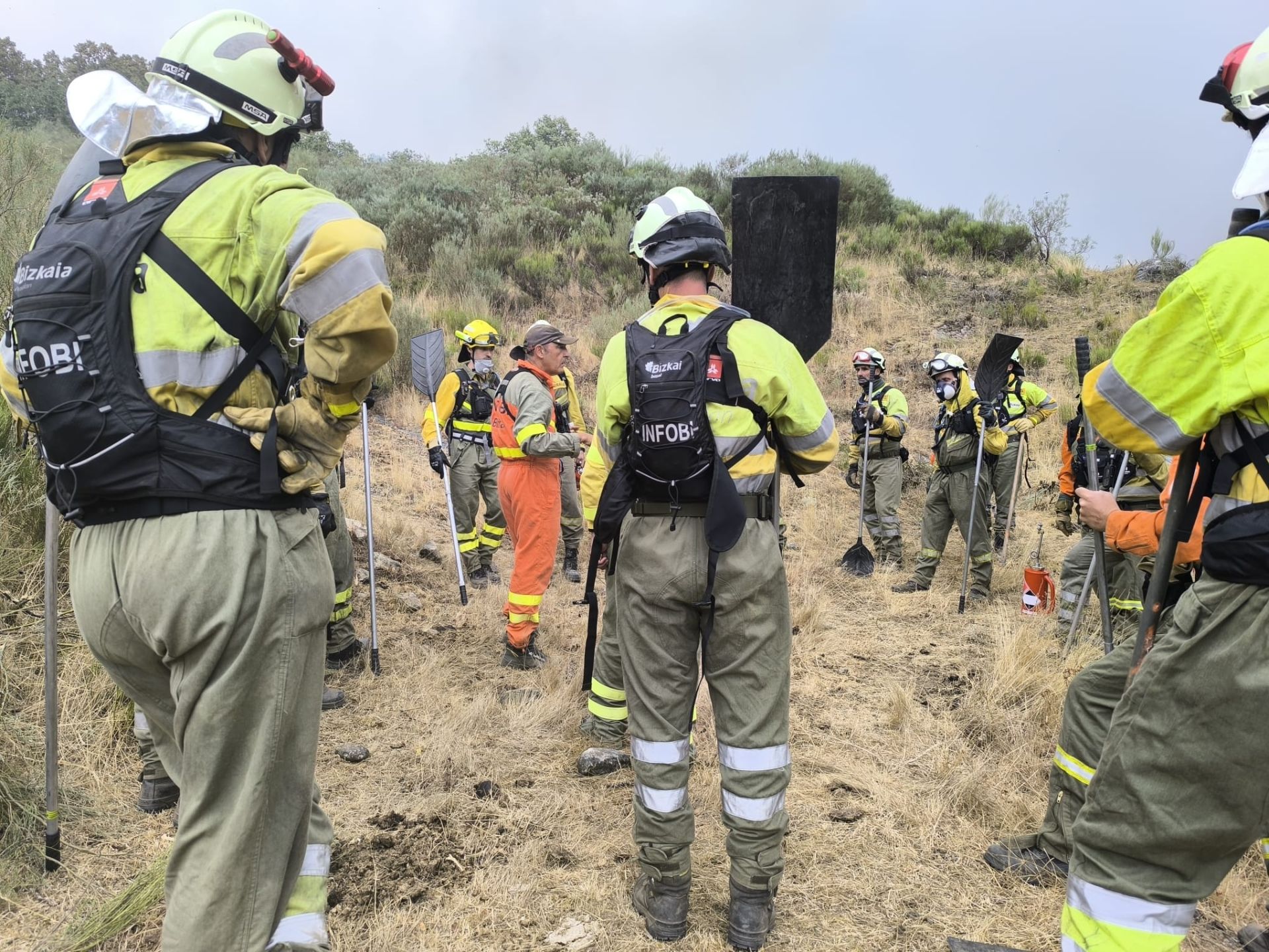 Ayuda de los equipos de bomberos y otros profesionales de Bizkaia en los incendios de León
