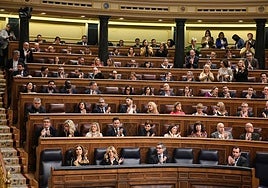 Pleno en el Congreso de los Diputados.