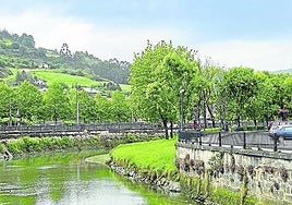 La ría de Gernika se ha queado sin patos.