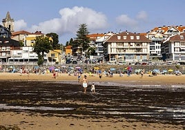 Las algas invasoras dan una tregua a las playas de Noja