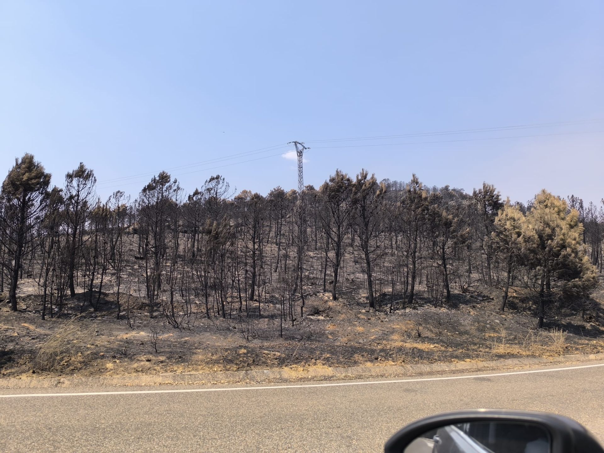 Así ha quedado Quintana y Congosto, un pueblo de León, tras los incendios