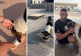 El cabreo de 'Cenando con Pablo' al encontrar un perro abandonado en una gasolinera