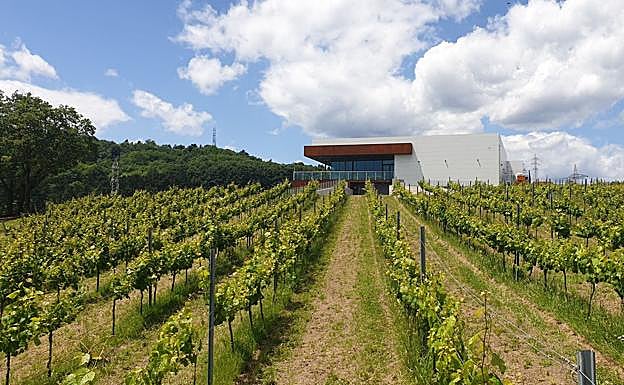 Vista de la bodega bodega Berez Galanta, Galdakao.