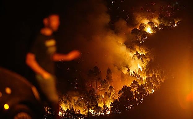 Las llamas arrasan el bosque en el concello de Quiroga, el más afectado de Lugo.