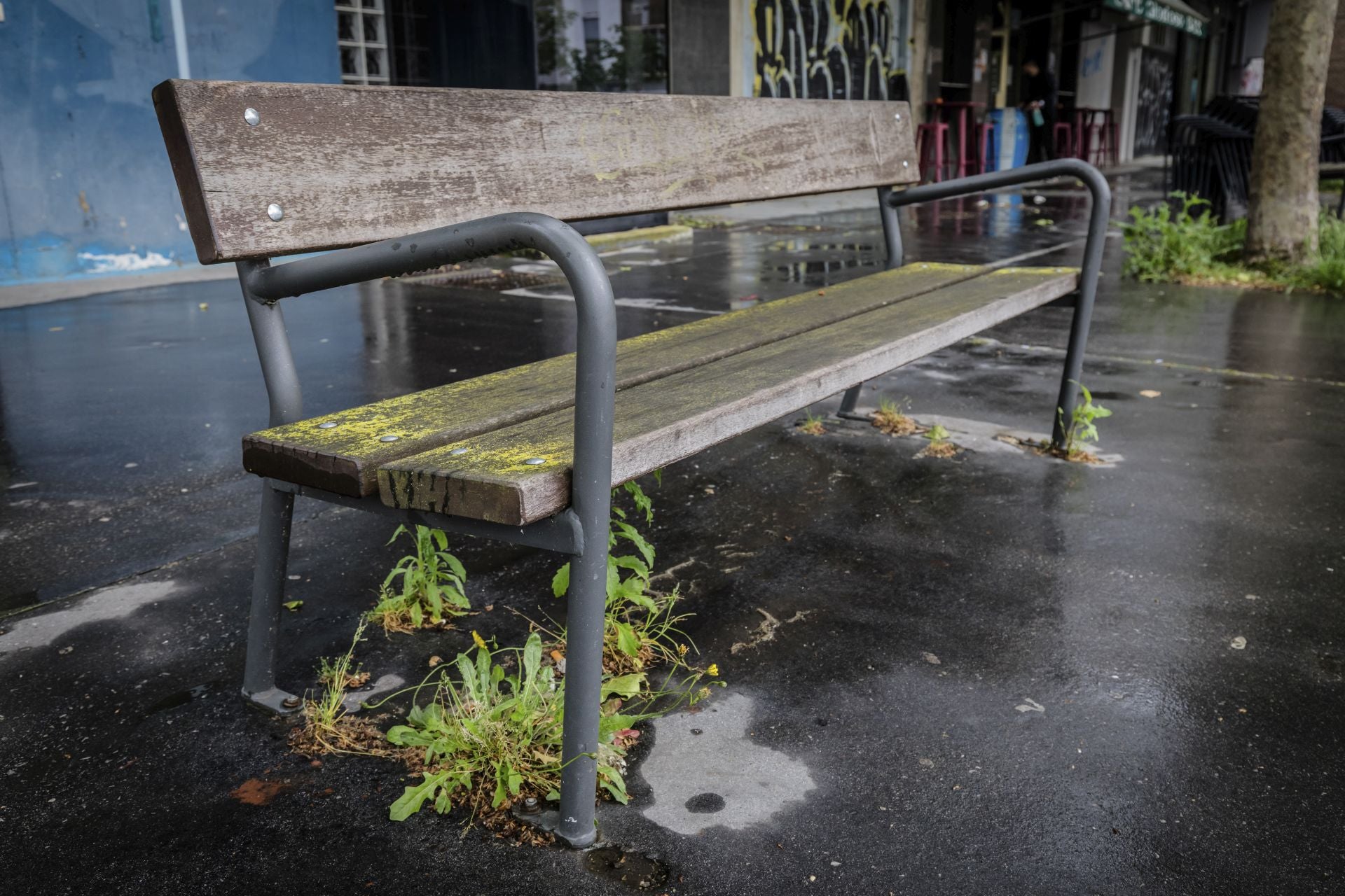 El mal estado de los bancos de Vitoria