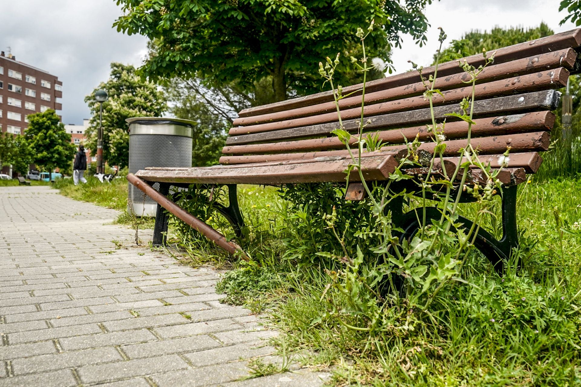 El mal estado de los bancos de Vitoria