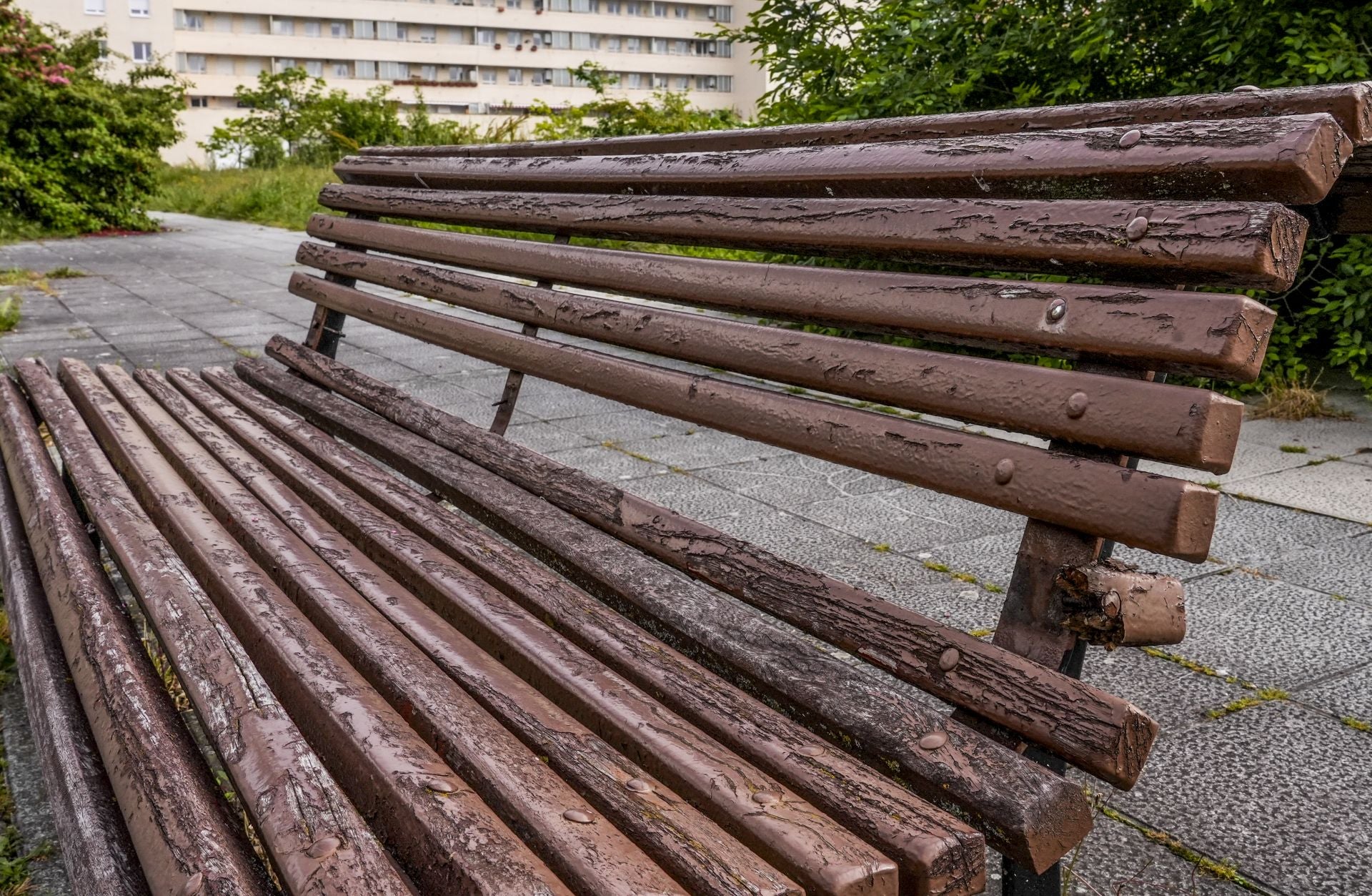 El mal estado de los bancos de Vitoria