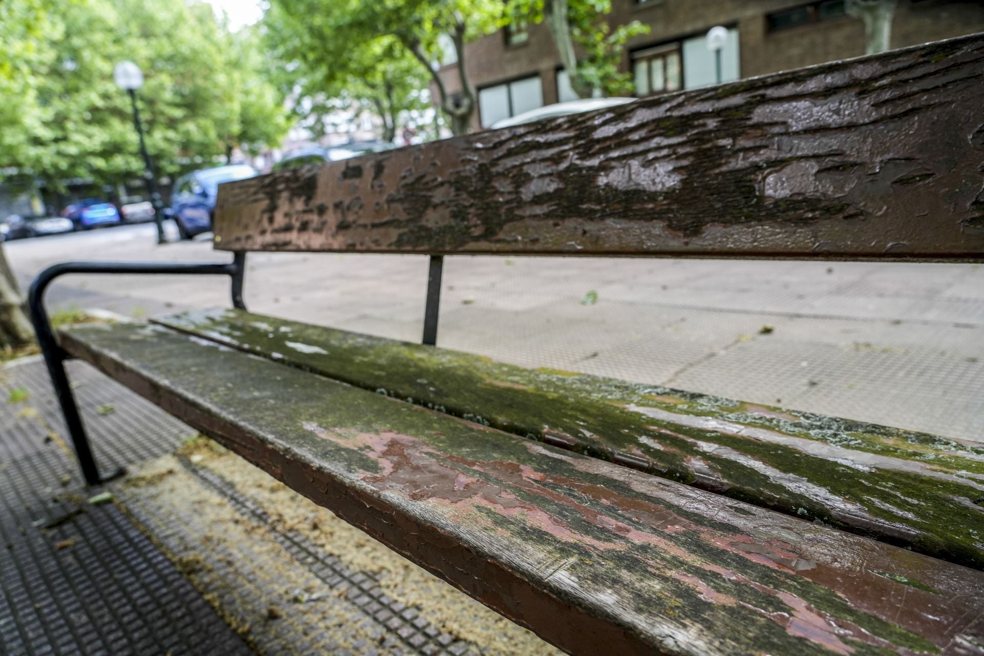 El mal estado de los bancos de Vitoria