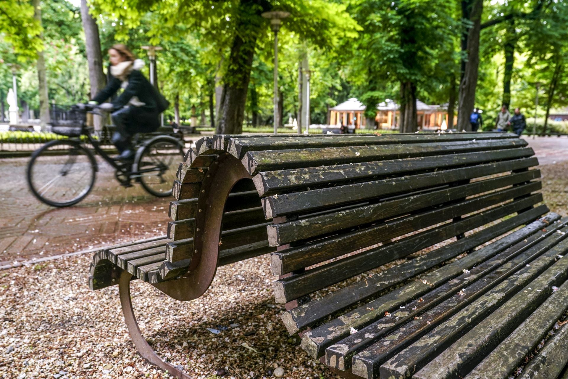 El mal estado de los bancos de Vitoria